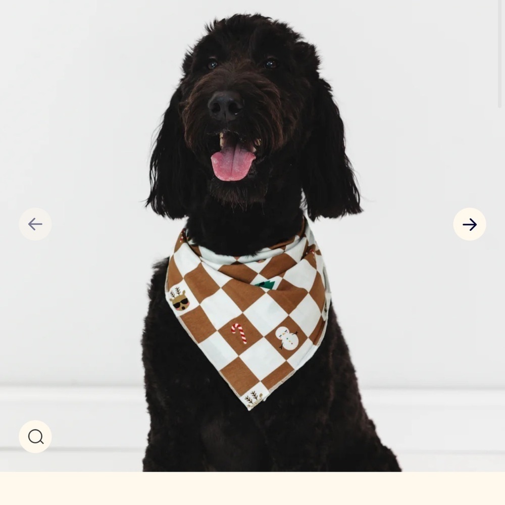 Dog‎ Christmas bandana
